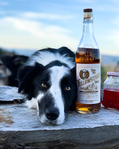 whiskey dog